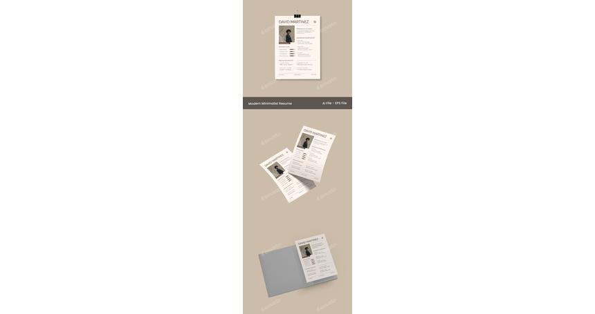 Beige Brown Minimalist Interior Resume