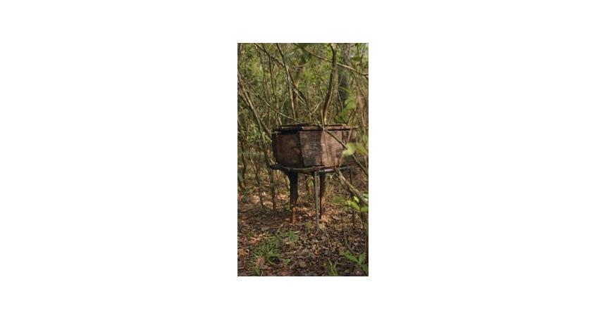 box in a field with honey bees flying into the hive concept beekeeping