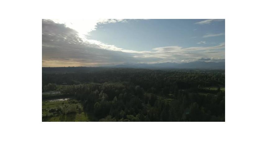 City Skyline Beyond Green Forest. British Columbia, Canada.