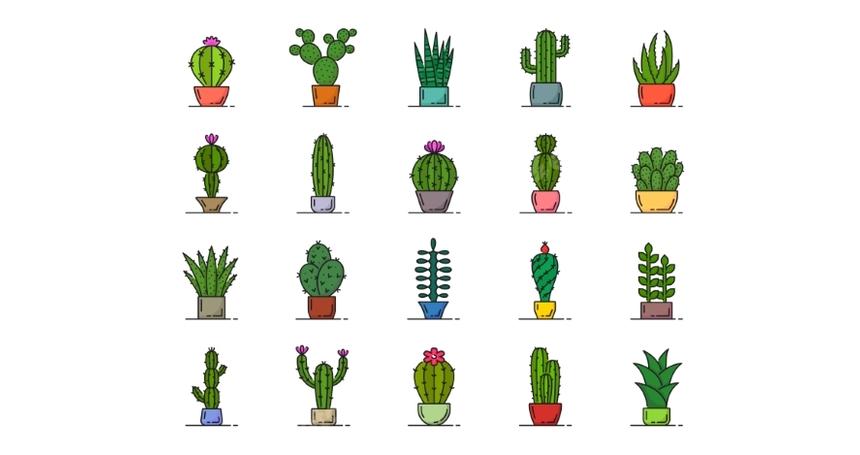 Color Mexican Cactus Succulent Line Icons Set