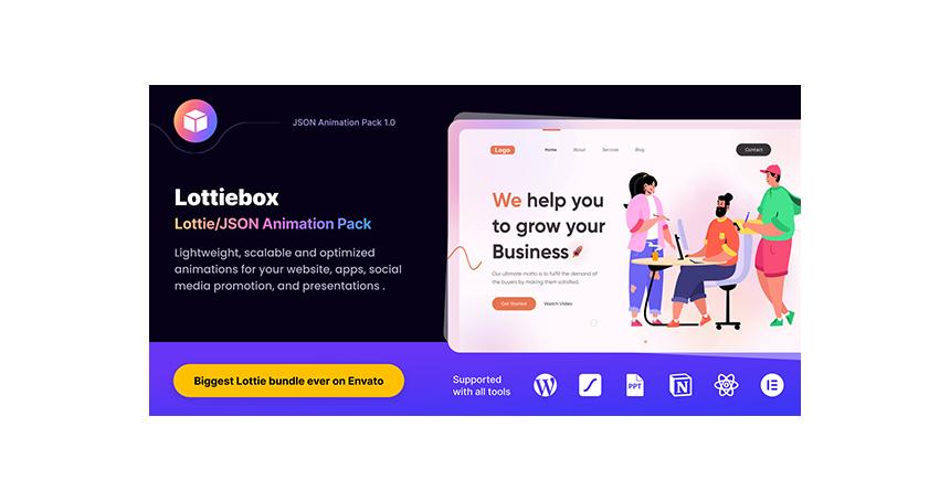 Lottiebox Lottie Animation Bundle and JSON Animation Kit