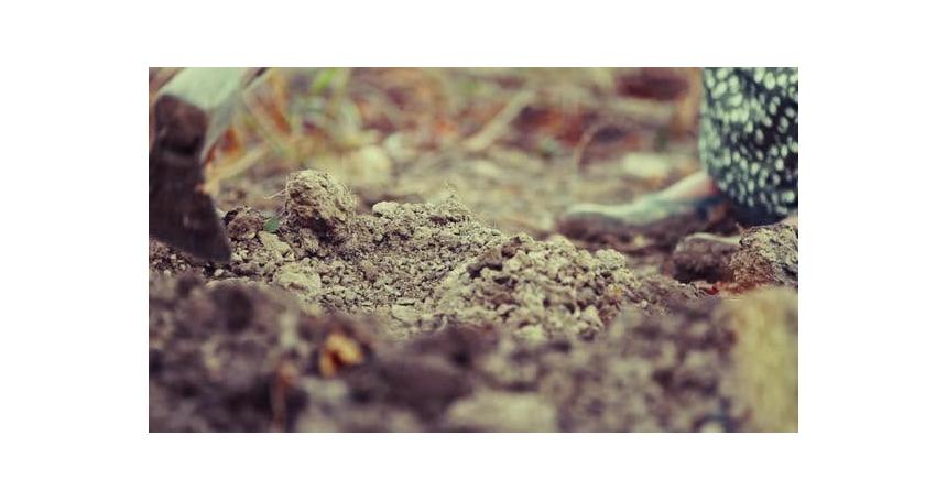 Old Peasant Woman Hoeing The Soil In Her Garden 2