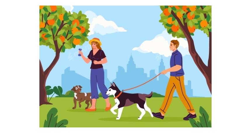 People Walk with Dogs