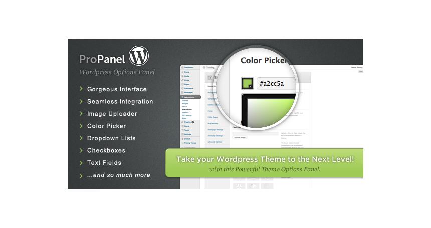 ProPanel - Wordpress Theme Options Panel