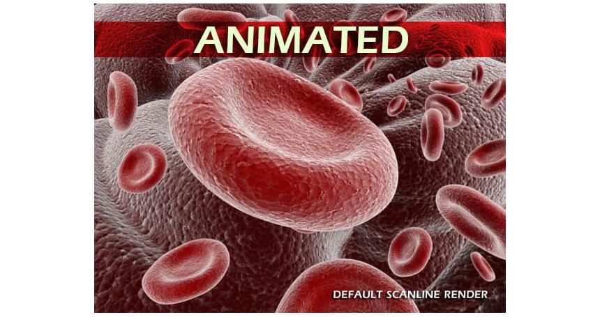 Red Blood Cells Animated