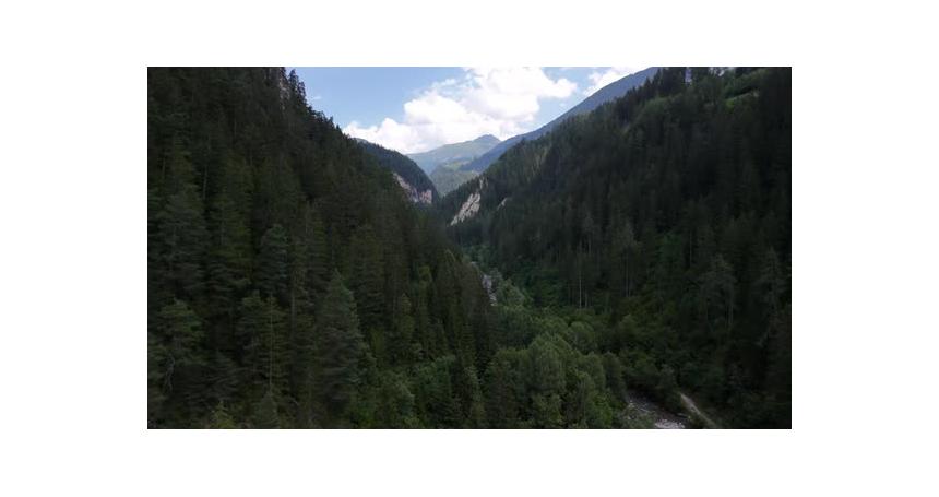 River in Swiss Alps mountains valley, tree forest, nature Switzerland aerial