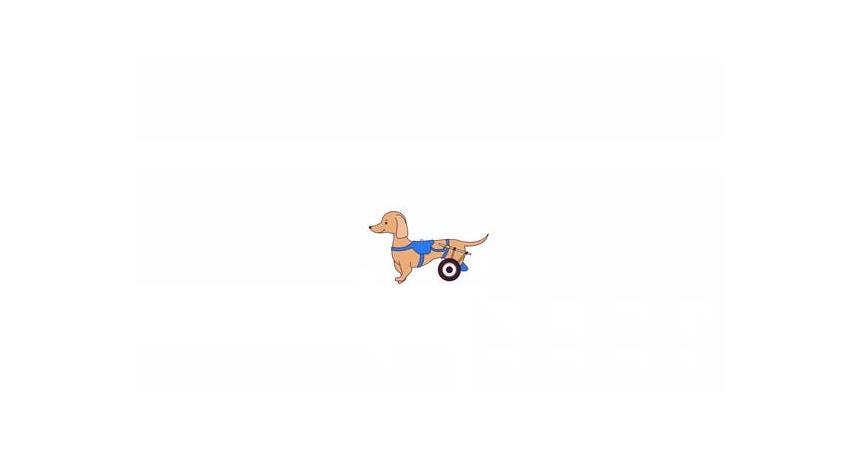 Small paralyzed dog with walking wheels line 2D character animation