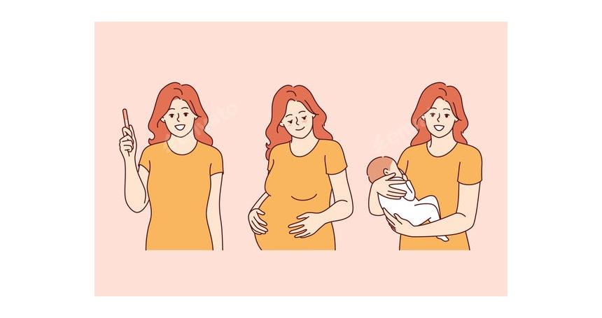 Stages of Motherhood and Pregnancy in Woman