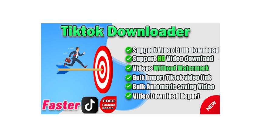 Tiktok Video Downloader