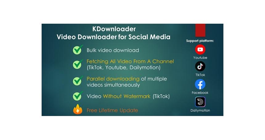 Video Downloader for Youtube, TikTok, Facebook, Dailymotion - Reseller Rights